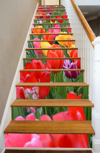 Tulip Trail